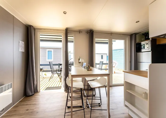 Muschel 63 샬베우츠