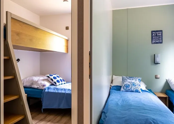 Muschel 63 샬베우츠